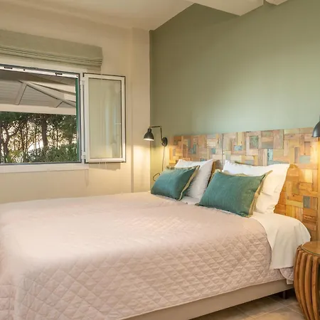 Seashell Luxury