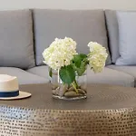 Apartment Seashell Luxury