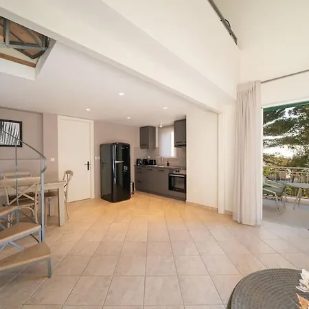 Seashell Luxury Lixúri