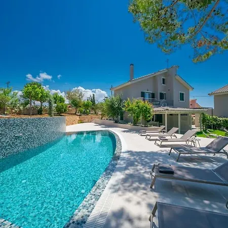 Seashell Luxury