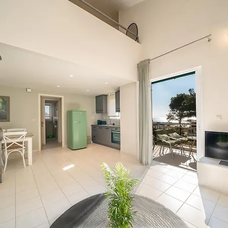 Seashell Luxury Apartment Lixouri
