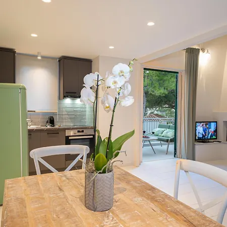 Apartment Seashell Luxury Lixouri
