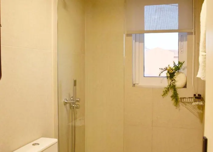 Seashell Luxury Lixúri