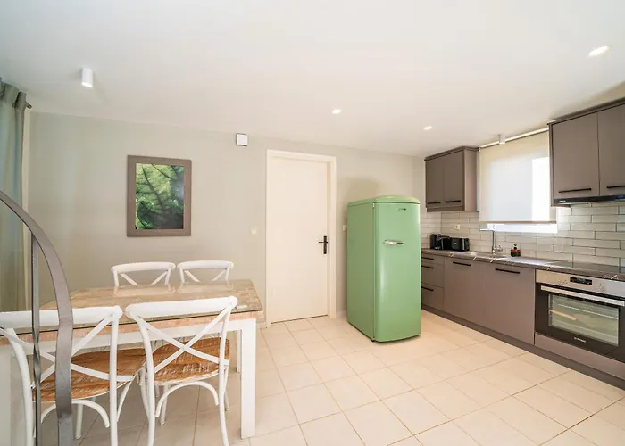 Seashell Luxury Lixúri