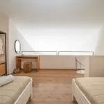 Seashell Luxury Lixúri